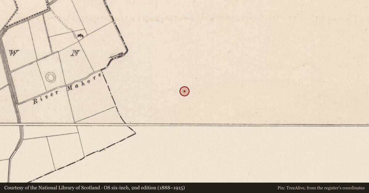 Ordnance Survey six-inch map, 2nd edition (1888–1915) covering the location of Ringfort - rath, Ballycurrane, County Tipperary South, with a pin at the register's coordinates