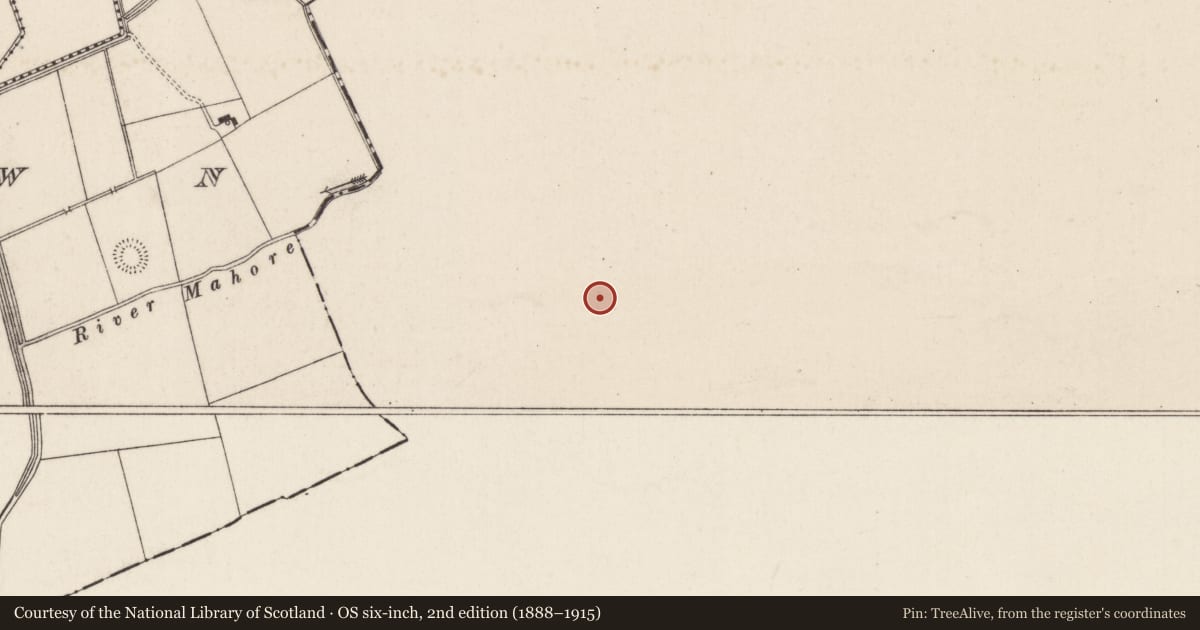 Ordnance Survey six-inch map, 2nd edition (1888–1915) covering the location of Field system, Ballycurrane, County Tipperary South, with a pin at the register's coordinates