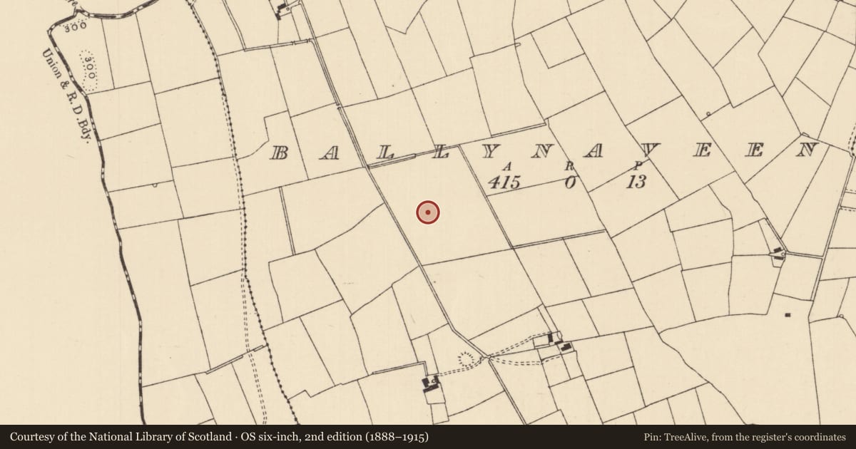 Ordnance Survey six-inch map, 2nd edition (1888–1915) covering the location of Barrow - ring-barrow, Ballynaveen, County Tipperary South, with a pin at the register's coordinates