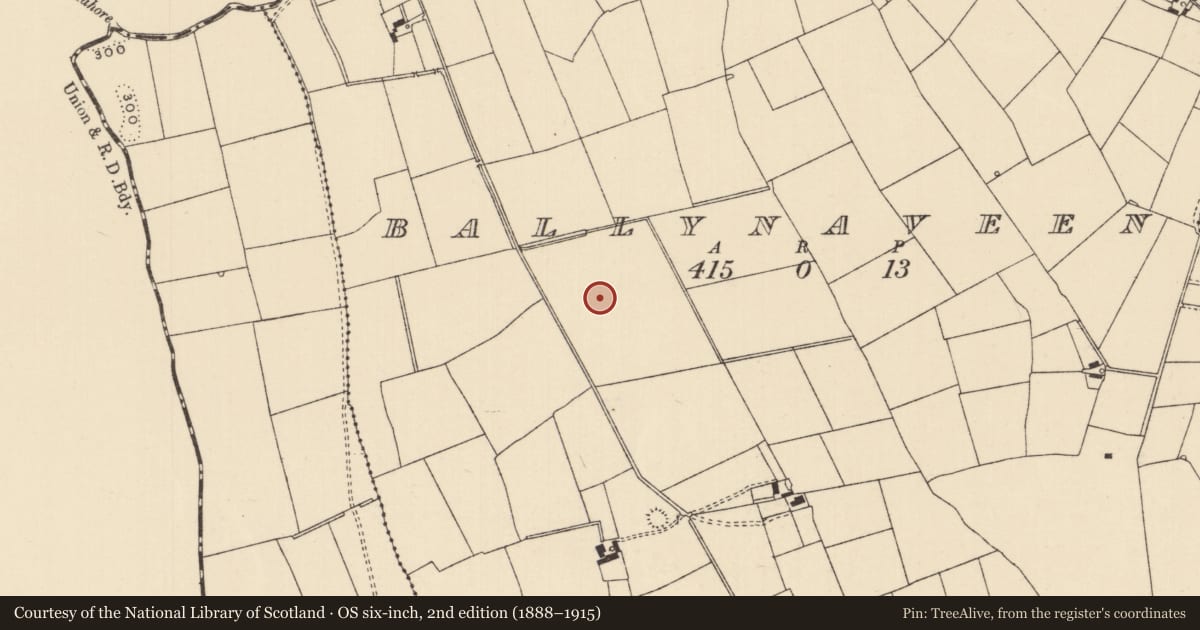 Ordnance Survey six-inch map, 2nd edition (1888–1915) covering the location of Barrow - ring-barrow, Ballynaveen, County Tipperary South, with a pin at the register's coordinates
