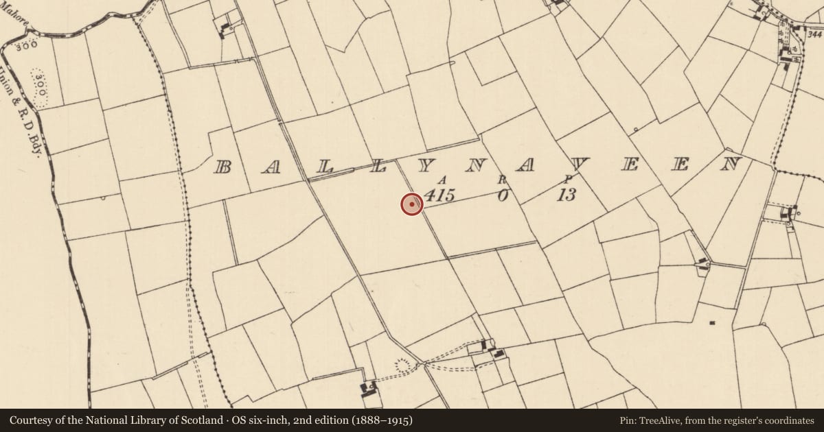 Ordnance Survey six-inch map, 2nd edition (1888–1915) covering the location of Barrow - ring-barrow, Ballynaveen, County Tipperary South, with a pin at the register's coordinates