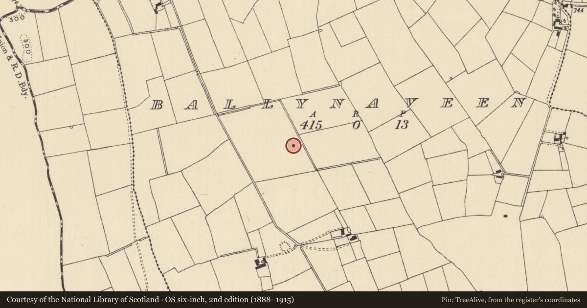 Ordnance Survey six-inch map, 2nd edition (1888–1915) covering the location of Barrow - ditch barrow, Ballynaveen, County Tipperary South, with a pin at the register's coordinates