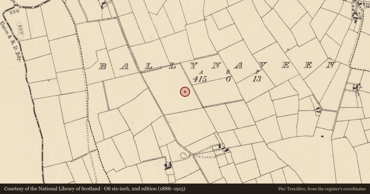 Ordnance Survey six-inch map, 2nd edition (1888–1915) covering the location of Barrow - ditch barrow, Ballynaveen, County Tipperary South, with a pin at the register's coordinates