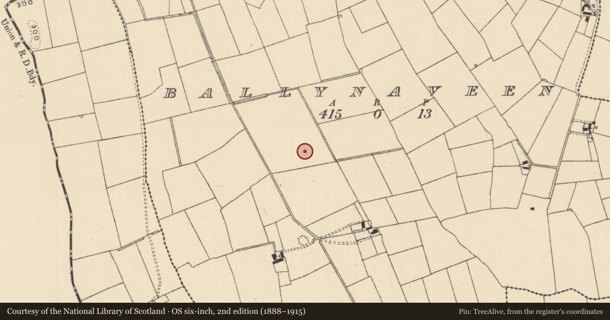 Ordnance Survey six-inch map, 2nd edition (1888–1915) covering the location of Barrow - ditch barrow, Ballynaveen, County Tipperary South, with a pin at the register's coordinates