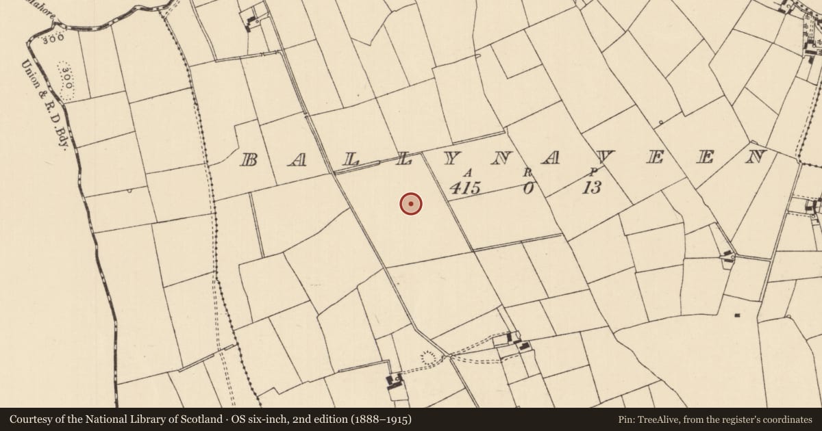 Ordnance Survey six-inch map, 2nd edition (1888–1915) covering the location of Barrow - ditch barrow, Ballynaveen, County Tipperary South, with a pin at the register's coordinates
