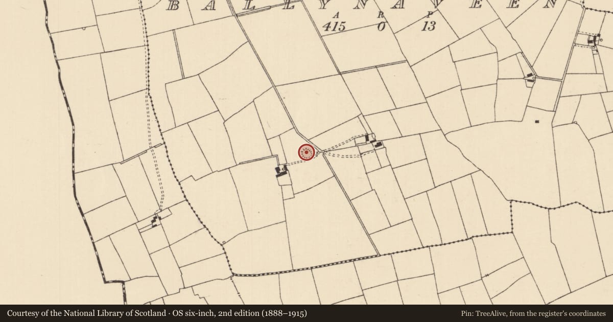 Ordnance Survey six-inch map, 2nd edition (1888–1915) covering the location of Ringfort - rath, Ballynaveen, County Tipperary South, with a pin at the register's coordinates