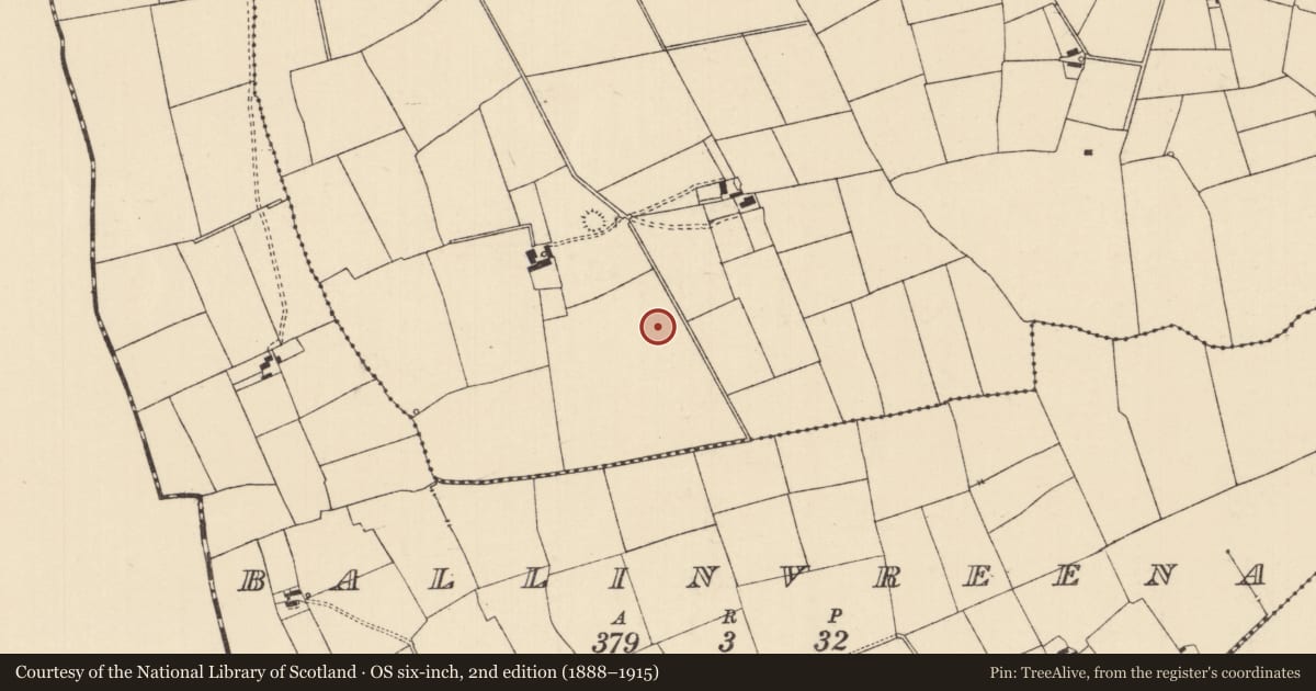 Ordnance Survey six-inch map, 2nd edition (1888–1915) covering the location of Barrow - ring-barrow, Ballynaveen, County Tipperary South, with a pin at the register's coordinates