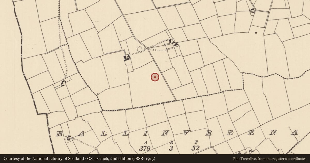 Ordnance Survey six-inch map, 2nd edition (1888–1915) covering the location of Barrow - ring-barrow, Ballynaveen, County Tipperary South, with a pin at the register's coordinates