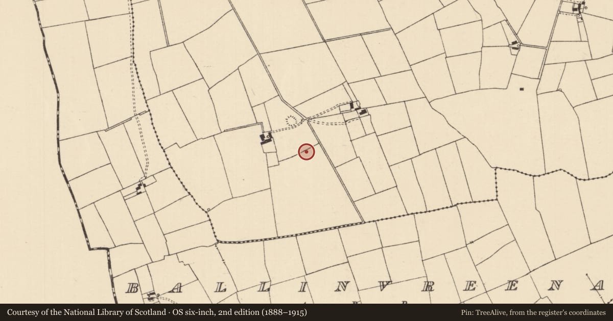 Ordnance Survey six-inch map, 2nd edition (1888–1915) covering the location of Barrow - ring-barrow, Ballynaveen, County Tipperary South, with a pin at the register's coordinates