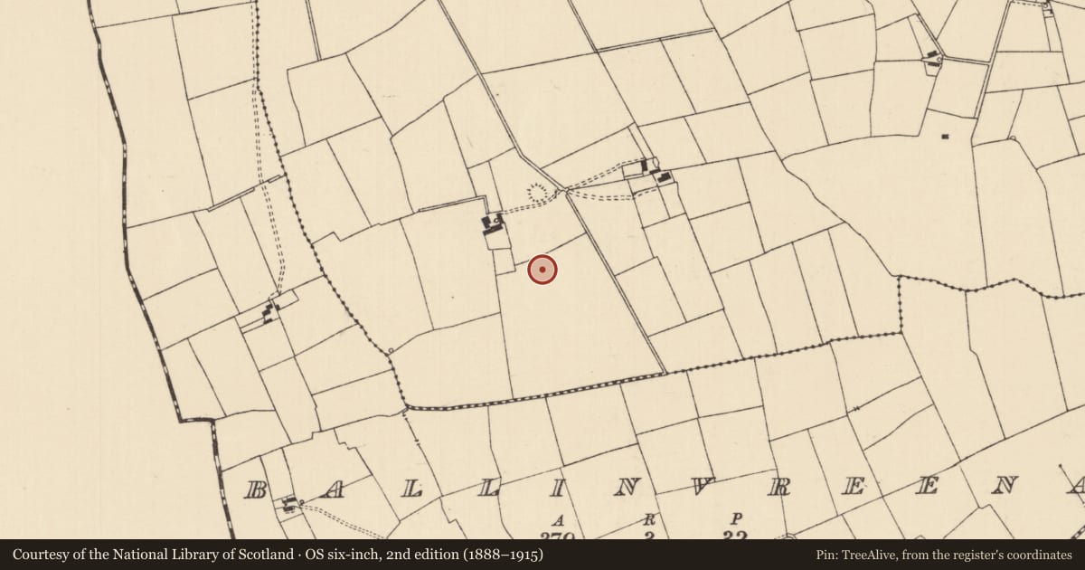 Ordnance Survey six-inch map, 2nd edition (1888–1915) covering the location of Barrow - ditch barrow, Ballynaveen, County Tipperary South, with a pin at the register's coordinates