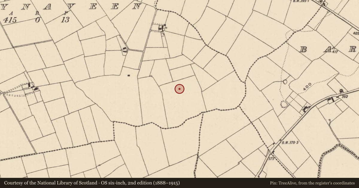 Ordnance Survey six-inch map, 2nd edition (1888–1915) covering the location of Barrow - ditch barrow, Ballynaveen, County Tipperary South, with a pin at the register's coordinates