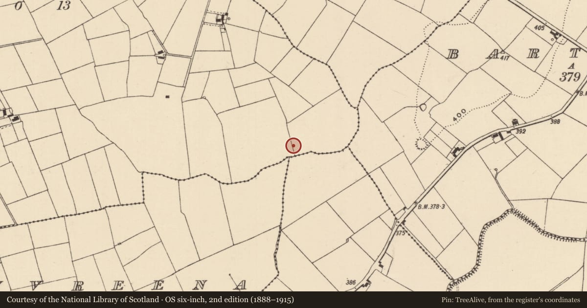 Ordnance Survey six-inch map, 2nd edition (1888–1915) covering the location of Ring-ditch, Ballynaveen, County Tipperary South, with a pin at the register's coordinates