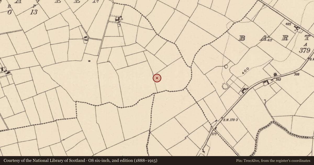 Ordnance Survey six-inch map, 2nd edition (1888–1915) covering the location of Ring-ditch, Ballynaveen, County Tipperary South, with a pin at the register's coordinates