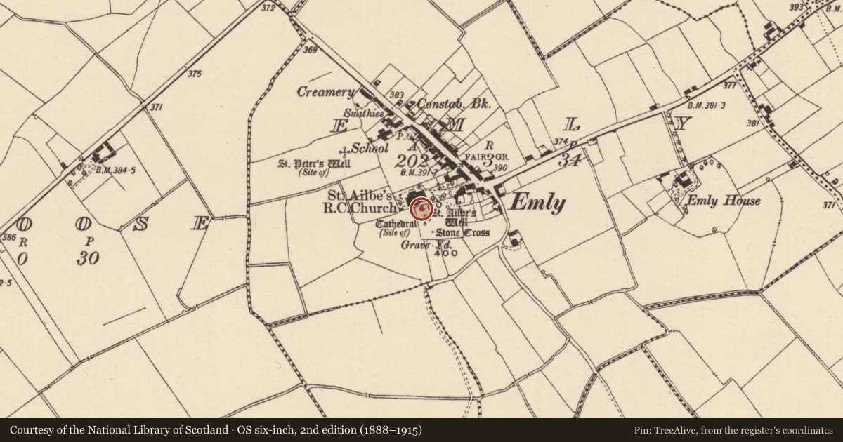 Ordnance Survey six-inch map, 2nd edition (1888–1915) covering the location of Ecclesiastical enclosure, Emly, County Tipperary South, with a pin at the register's coordinates