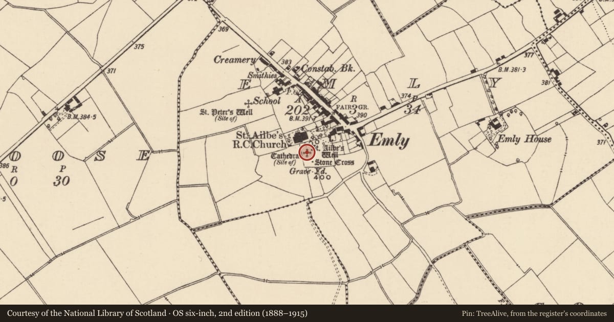 Ordnance Survey six-inch map, 2nd edition (1888–1915) covering the location of Cathedral, Emly, County Tipperary South, with a pin at the register's coordinates