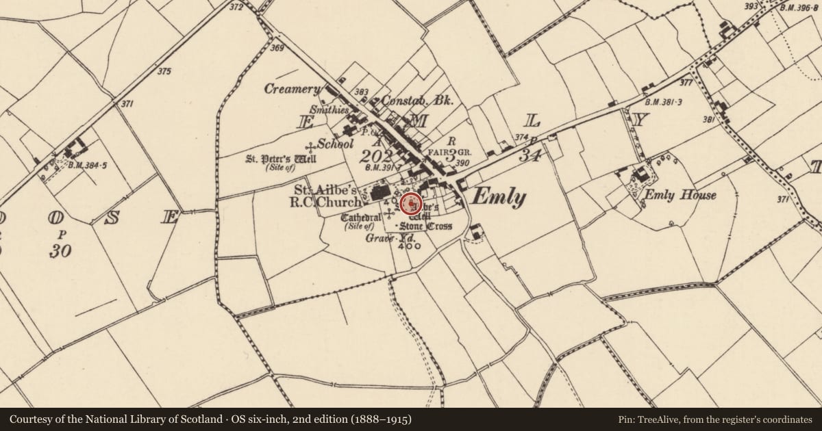 Ordnance Survey six-inch map, 2nd edition (1888–1915) covering the location of Ritual site - holy well, Emly, County Tipperary South, with a pin at the register's coordinates