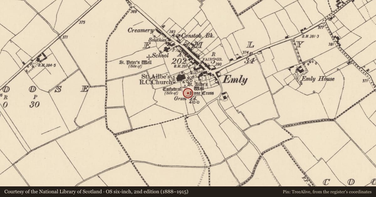 Ordnance Survey six-inch map, 2nd edition (1888–1915) covering the location of Cross - High cross, Emly, County Tipperary South, with a pin at the register's coordinates