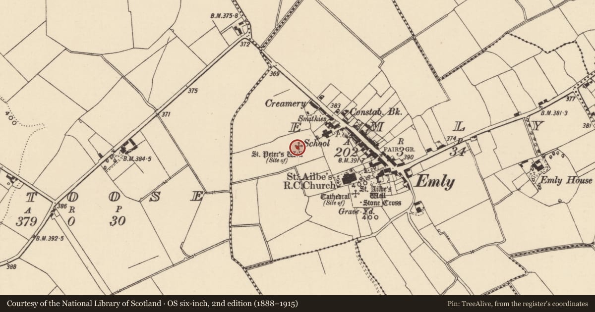 Ordnance Survey six-inch map, 2nd edition (1888–1915) covering the location of Ritual site - holy well, Emly, County Tipperary South, with a pin at the register's coordinates