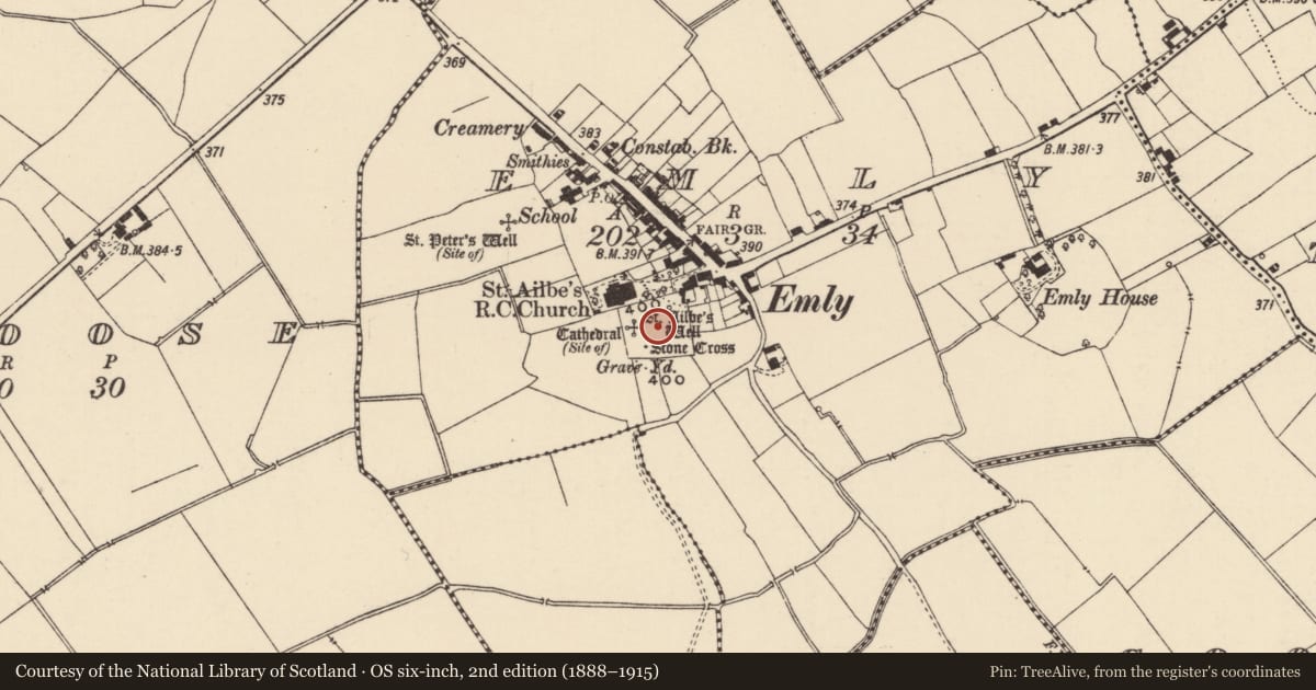 Ordnance Survey six-inch map, 2nd edition (1888–1915) covering the location of Graveyard, Emly, County Tipperary South, with a pin at the register's coordinates
