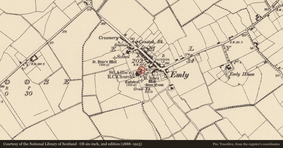 Ordnance Survey six-inch map, 2nd edition (1888–1915) covering the location of Graveslab, Emly, County Tipperary South, with a pin at the register's coordinates