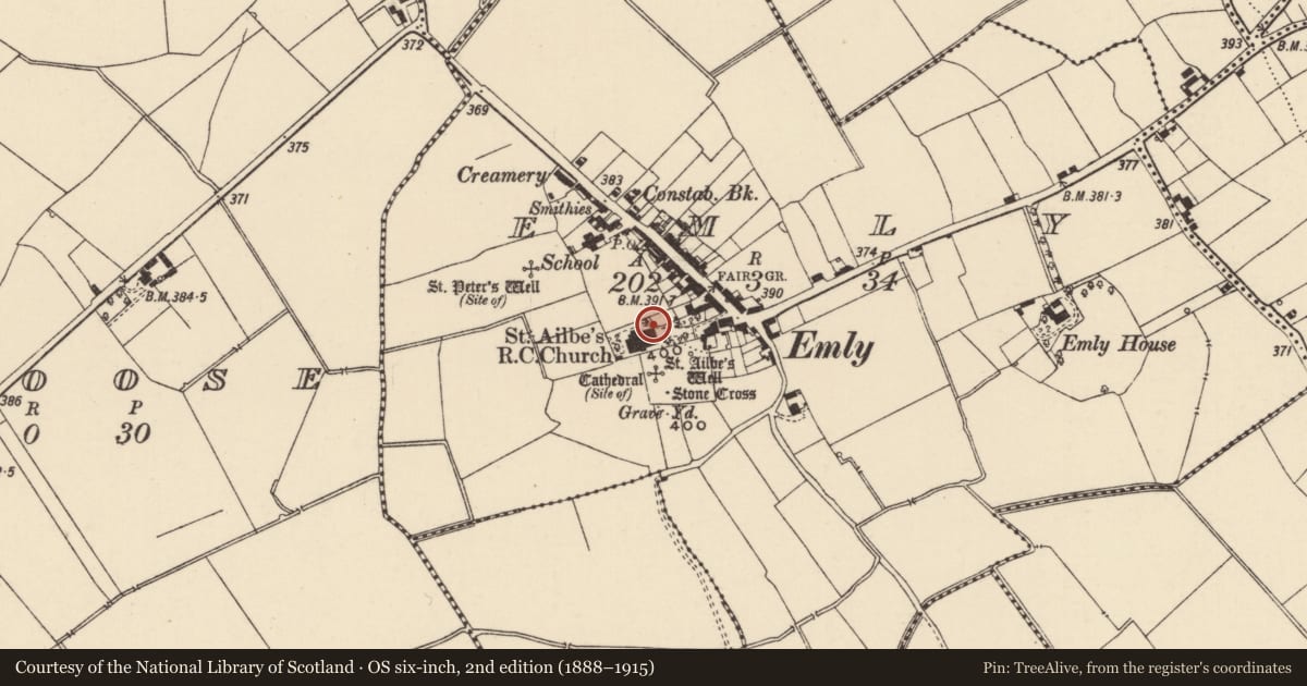 Ordnance Survey six-inch map, 2nd edition (1888–1915) covering the location of Architectural fragment, Emly, County Tipperary South, with a pin at the register's coordinates