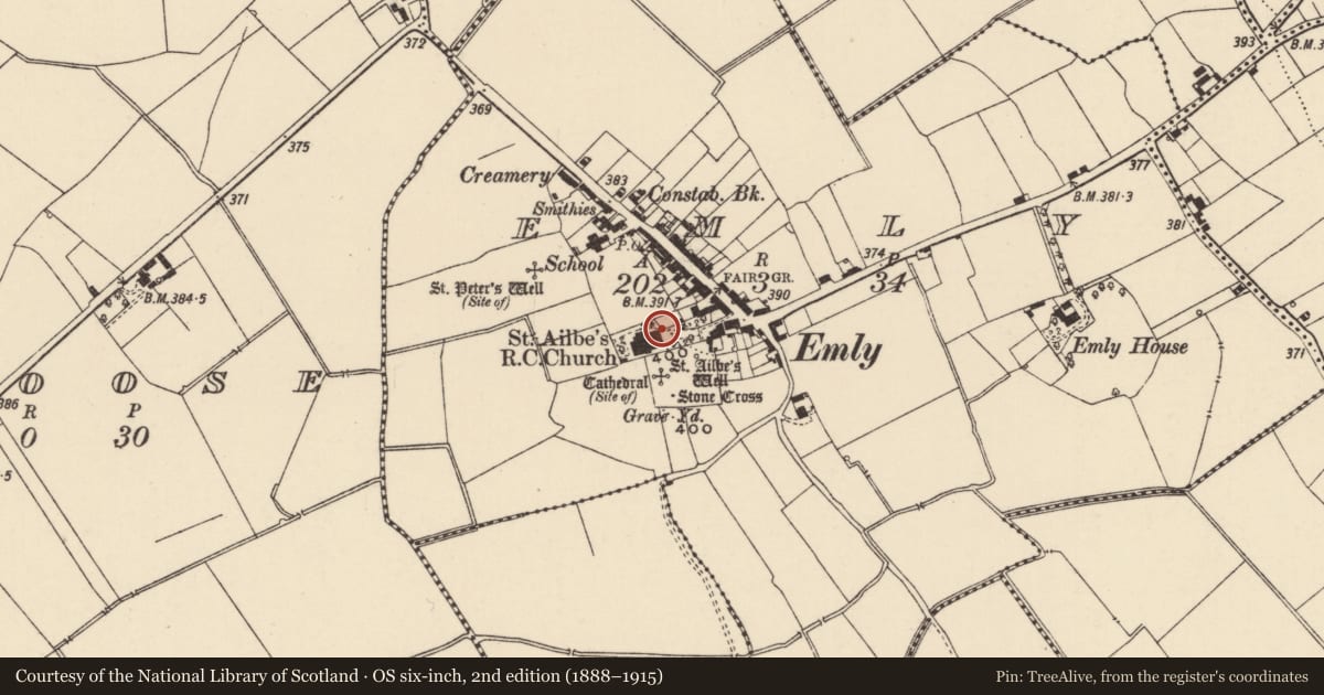 Ordnance Survey six-inch map, 2nd edition (1888–1915) covering the location of Architectural fragment, Emly, County Tipperary South, with a pin at the register's coordinates