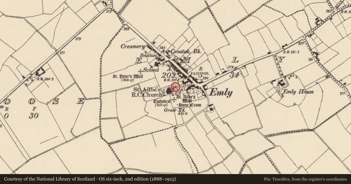 Ordnance Survey six-inch map, 2nd edition (1888–1915) covering the location of Architectural fragment, Emly, County Tipperary South, with a pin at the register's coordinates