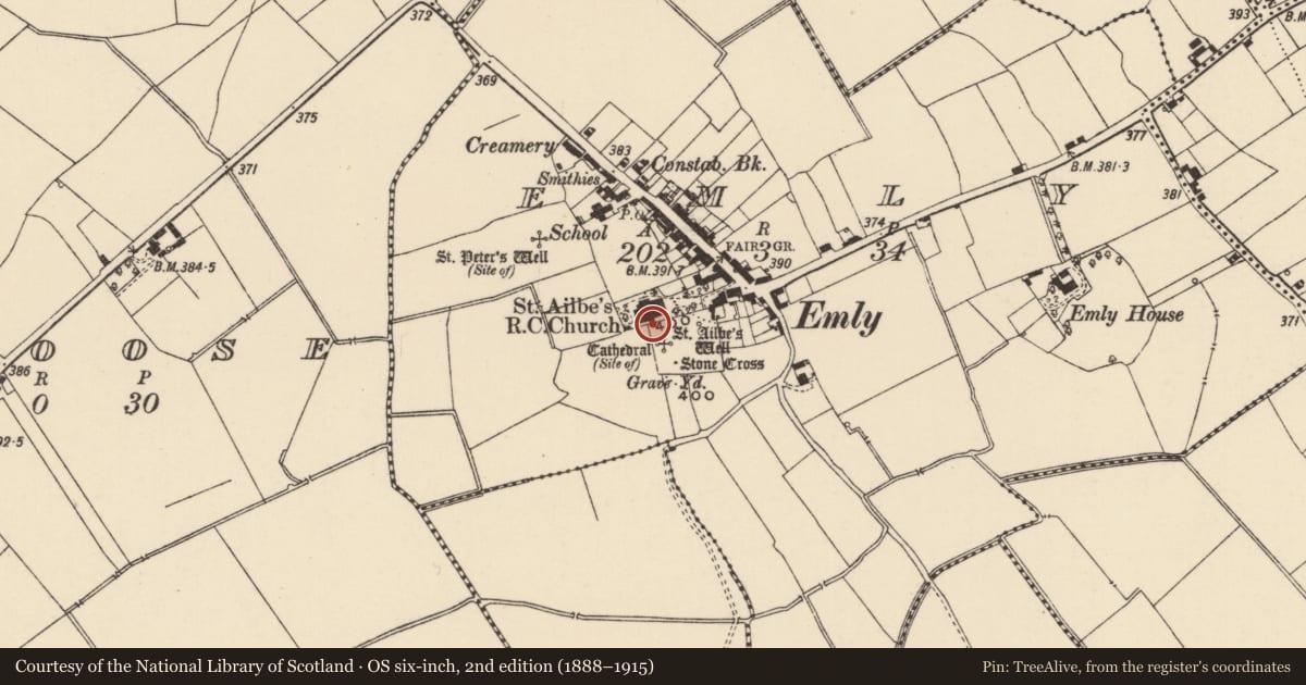 Ordnance Survey six-inch map, 2nd edition (1888–1915) covering the location of Wall monument, Emly, County Tipperary South, with a pin at the register's coordinates