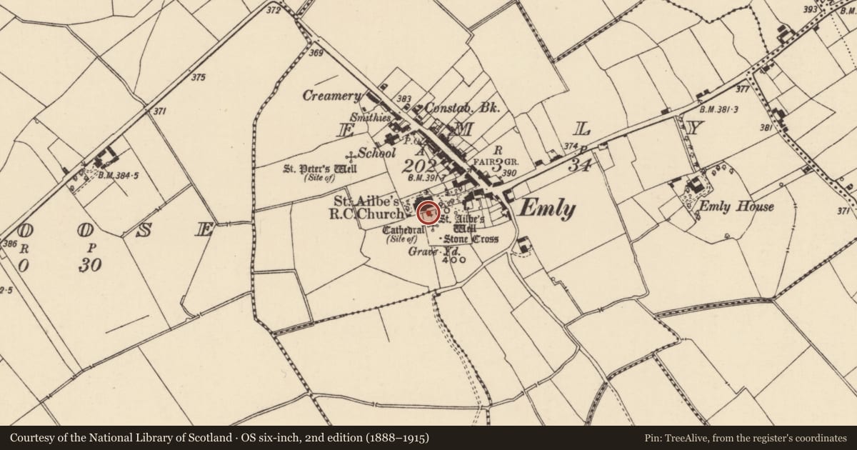 Ordnance Survey six-inch map, 2nd edition (1888–1915) covering the location of Wall monument, Emly, County Tipperary South, with a pin at the register's coordinates