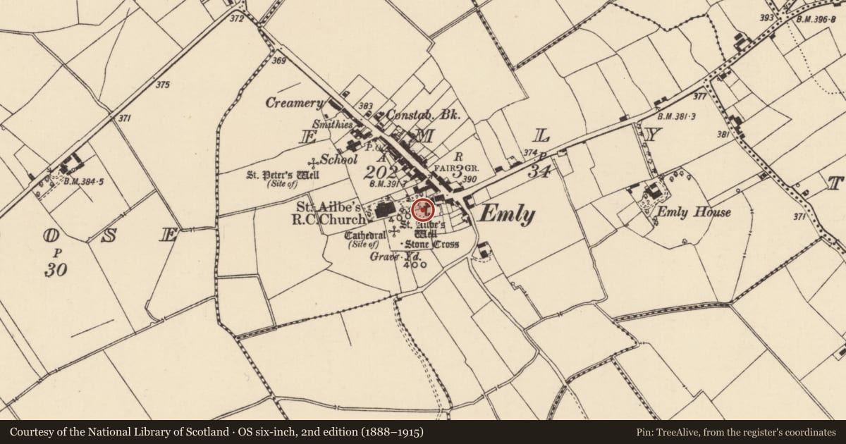 Ordnance Survey six-inch map, 2nd edition (1888–1915) covering the location of Memorial stone, Emly, County Tipperary South, with a pin at the register's coordinates