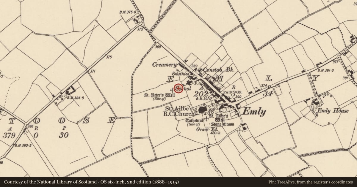 Ordnance Survey six-inch map, 2nd edition (1888–1915) covering the location of Burial ground, Emly, County Tipperary South, with a pin at the register's coordinates