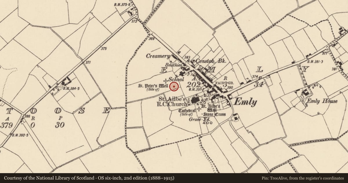 Ordnance Survey six-inch map, 2nd edition (1888–1915) covering the location of Excavation - miscellaneous, Emly, County Tipperary South, with a pin at the register's coordinates