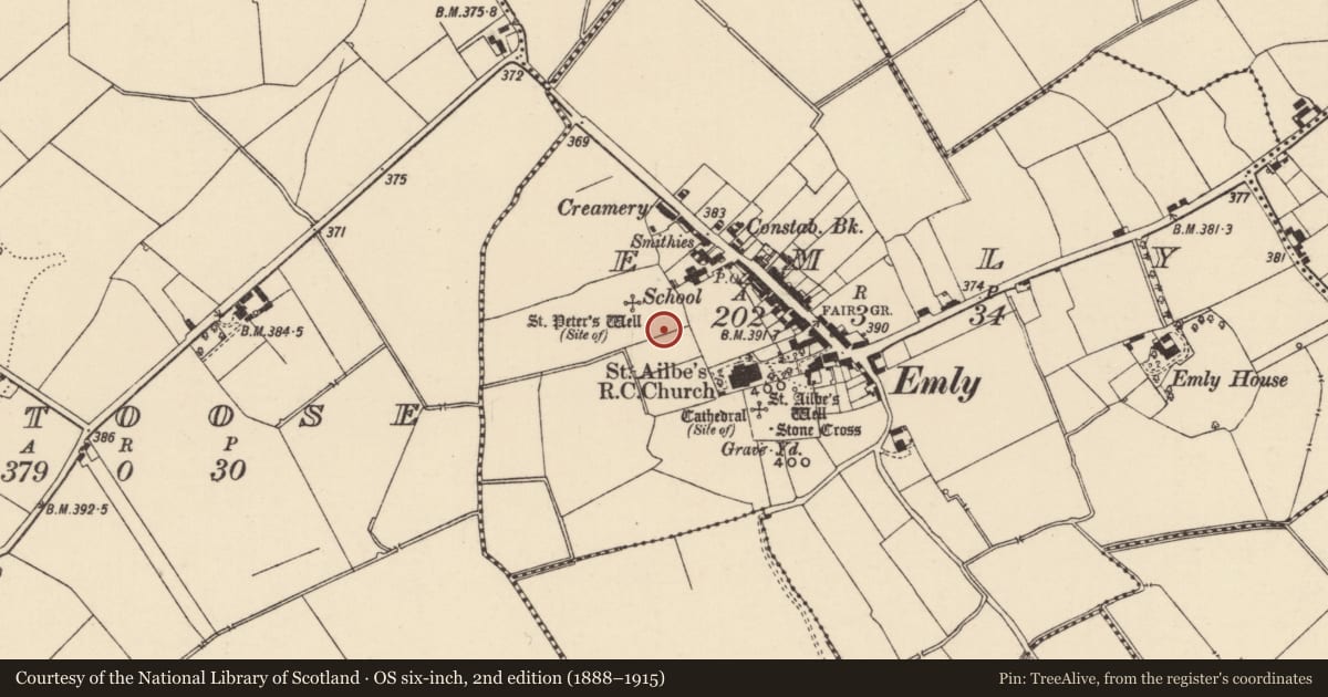 Ordnance Survey six-inch map, 2nd edition (1888–1915) covering the location of Enclosure, Emly, County Tipperary South, with a pin at the register's coordinates
