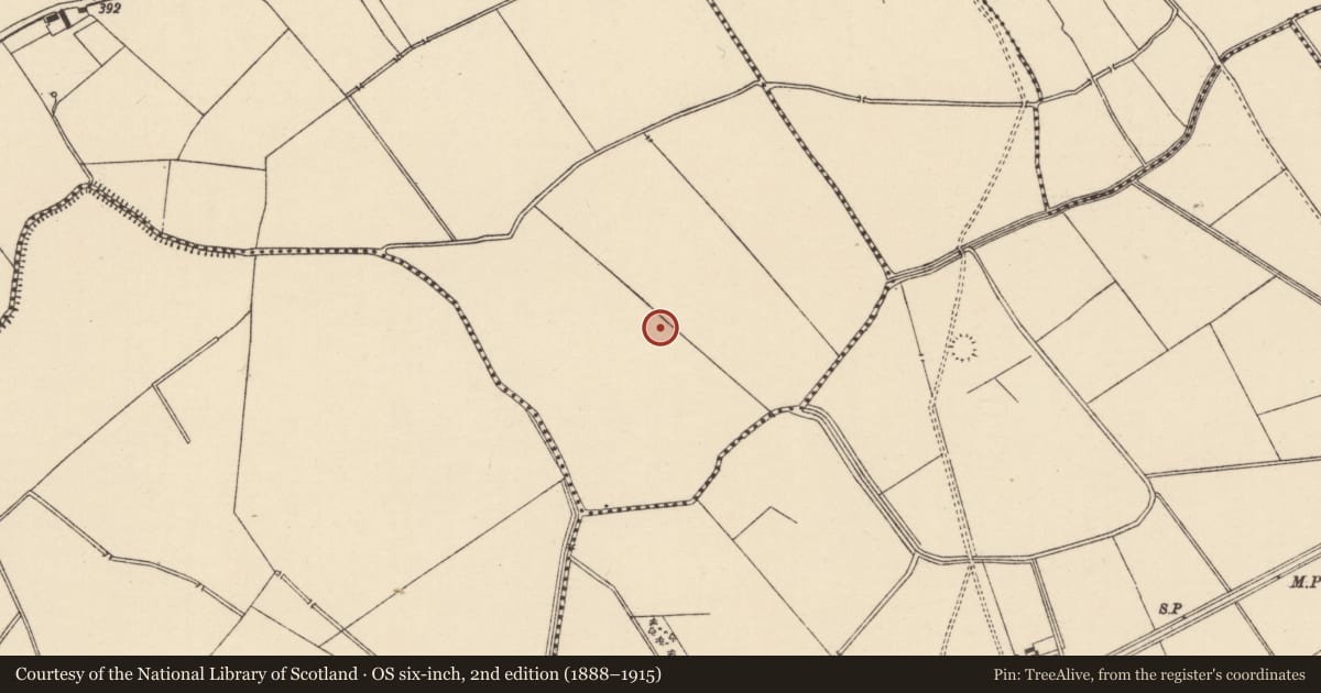 Ordnance Survey six-inch map, 2nd edition (1888–1915) covering the location of Enclosure, Bartoose, County Tipperary South, with a pin at the register's coordinates