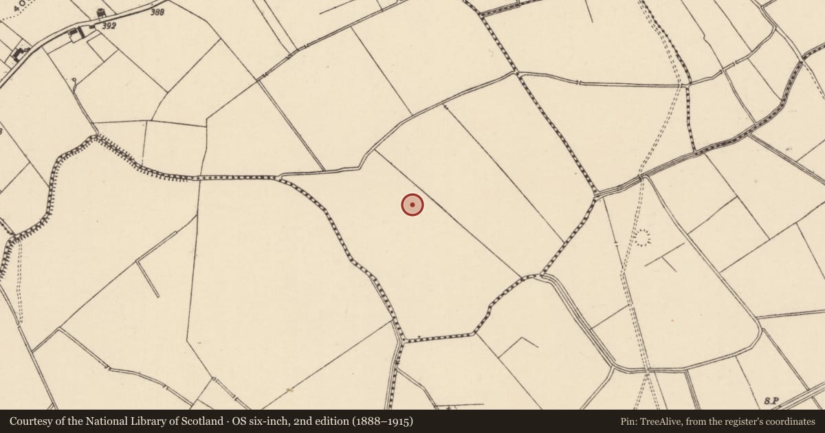 Ordnance Survey six-inch map, 2nd edition (1888–1915) covering the location of Field system, Bartoose, County Tipperary South, with a pin at the register's coordinates