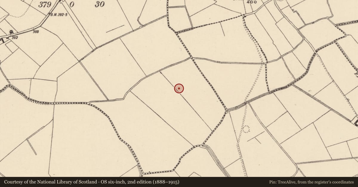 Ordnance Survey six-inch map, 2nd edition (1888–1915) covering the location of Field system, Bartoose, County Tipperary South, with a pin at the register's coordinates