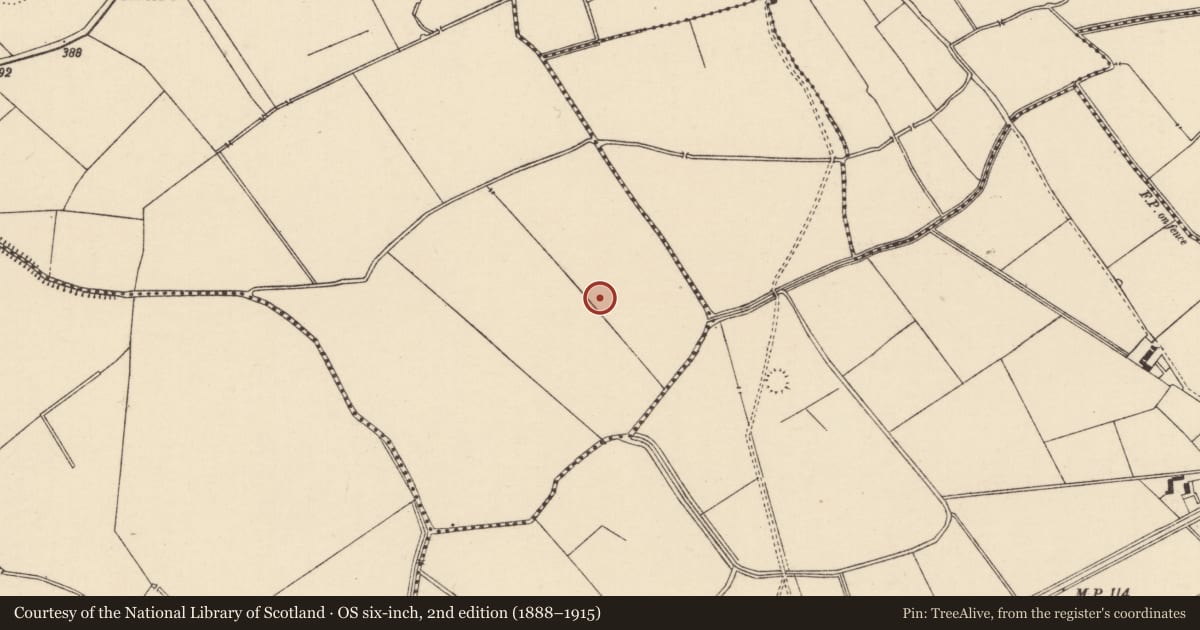 Ordnance Survey six-inch map, 2nd edition (1888–1915) covering the location of Enclosure, Bartoose, County Tipperary South, with a pin at the register's coordinates