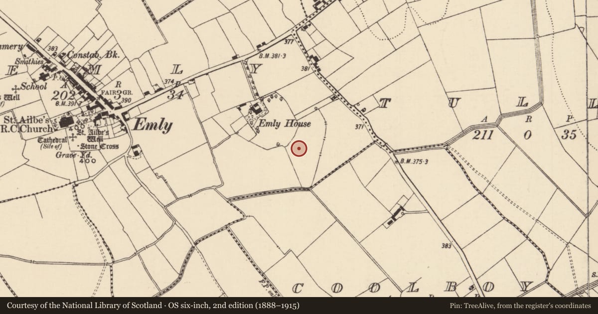 Ordnance Survey six-inch map, 2nd edition (1888–1915) covering the location of Ring-ditch, Emly, County Tipperary South, with a pin at the register's coordinates