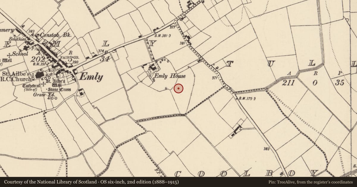 Ordnance Survey six-inch map, 2nd edition (1888–1915) covering the location of Ring-ditch, Emly, County Tipperary South, with a pin at the register's coordinates