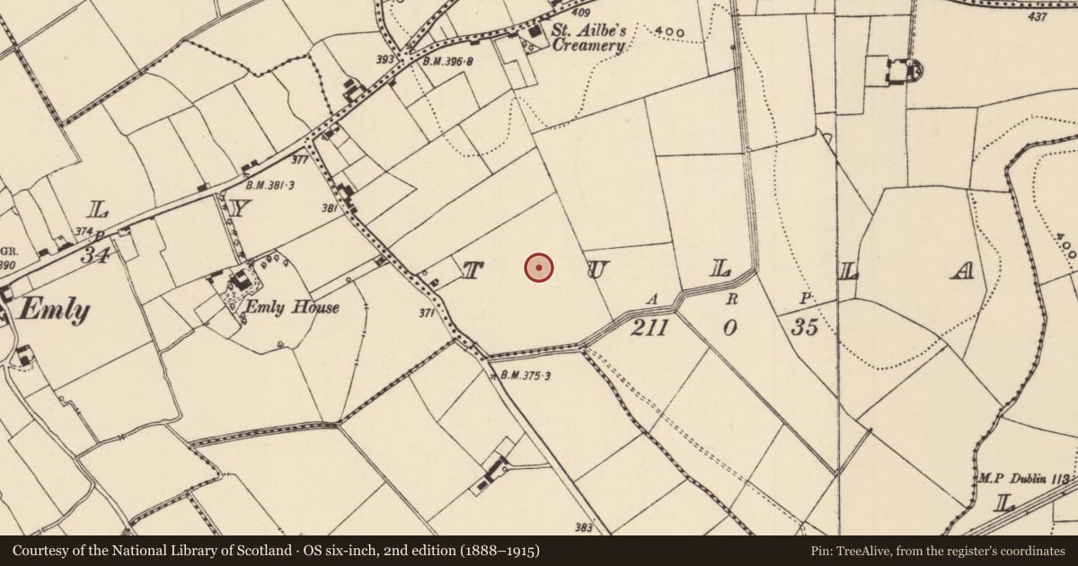 Ordnance Survey six-inch map, 2nd edition (1888–1915) covering the location of Ring-ditch, Tulla (Emly Par.), County Tipperary South, with a pin at the register's coordinates