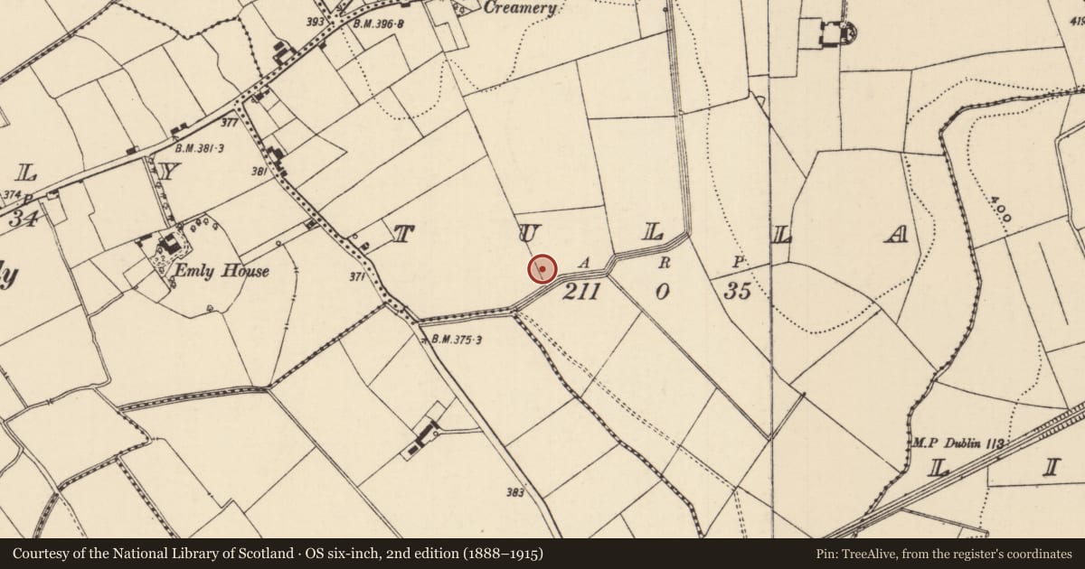 Ordnance Survey six-inch map, 2nd edition (1888–1915) covering the location of Ring-ditch, Tulla (Emly Par.), County Tipperary South, with a pin at the register's coordinates