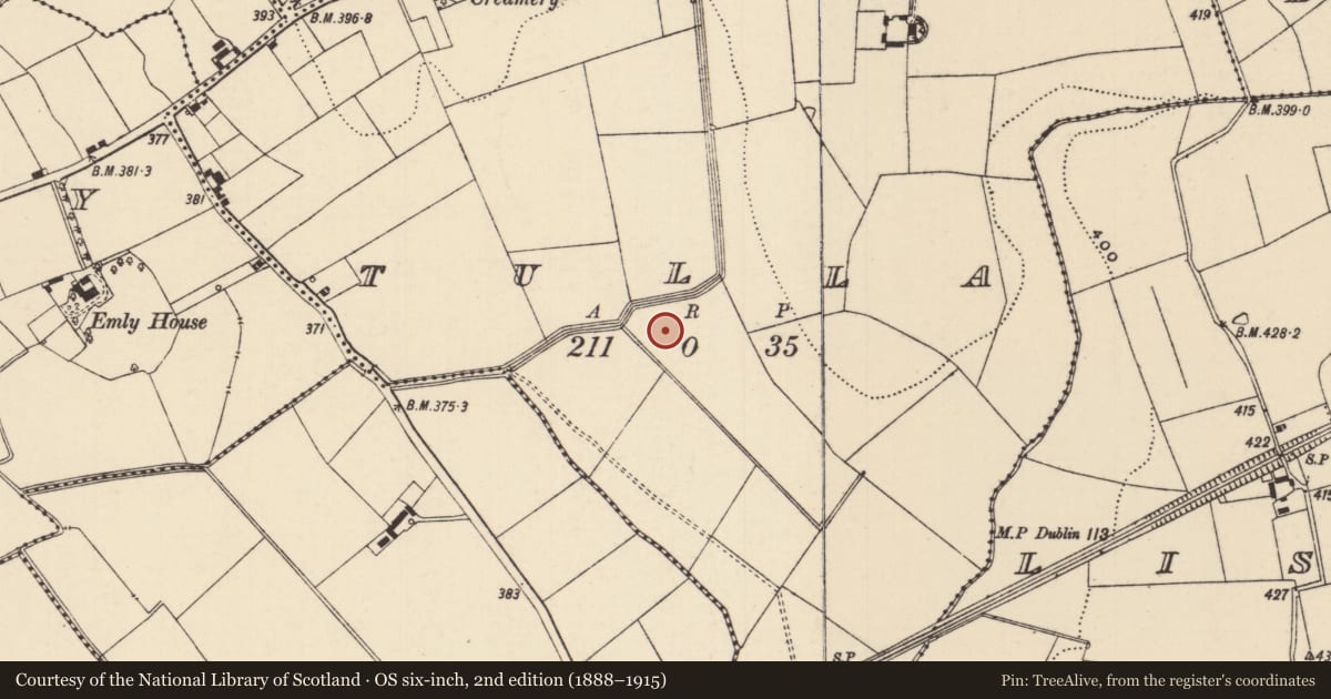 Ordnance Survey six-inch map, 2nd edition (1888–1915) covering the location of Ring-ditch, Tulla (Emly Par.), County Tipperary South, with a pin at the register's coordinates