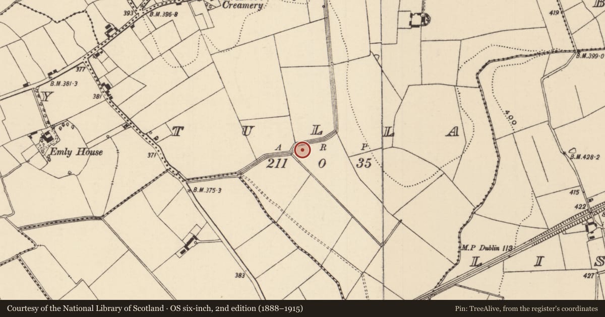 Ordnance Survey six-inch map, 2nd edition (1888–1915) covering the location of Ring-ditch, Tulla (Emly Par.), County Tipperary South, with a pin at the register's coordinates