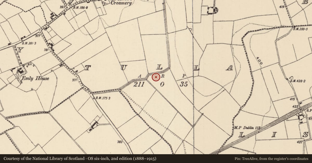 Ordnance Survey six-inch map, 2nd edition (1888–1915) covering the location of Ring-ditch, Tulla (Emly Par.), County Tipperary South, with a pin at the register's coordinates