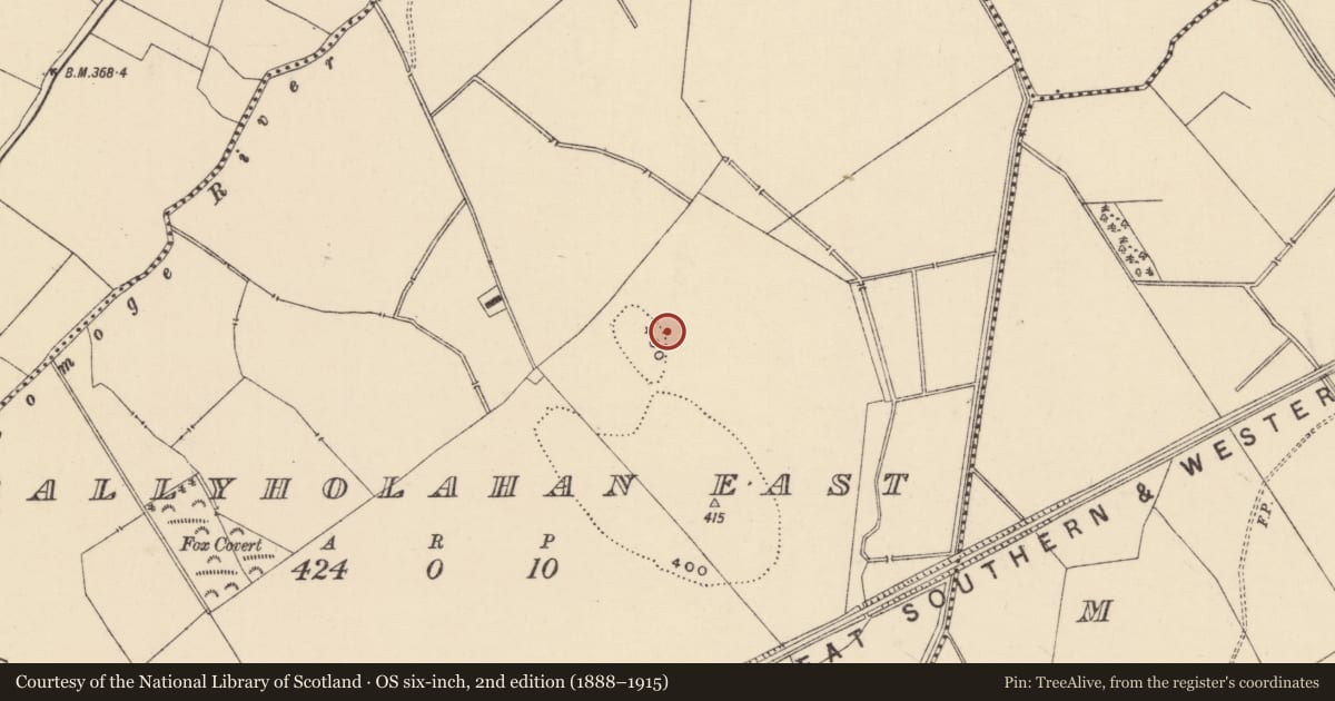 Ordnance Survey six-inch map, 2nd edition (1888–1915) covering the location of Barrow - ditch barrow, Ballyholahan East, County Tipperary South, with a pin at the register's coordinates