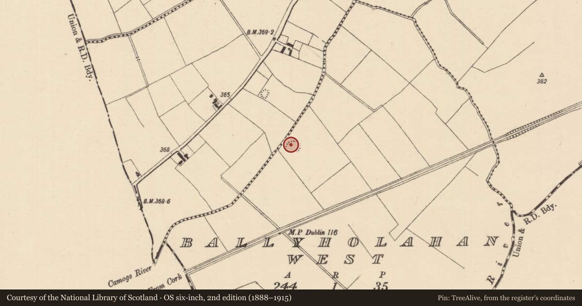 Ordnance Survey six-inch map, 2nd edition (1888–1915) covering the location of Enclosure, Ballyholahan West, County Tipperary South, with a pin at the register's coordinates