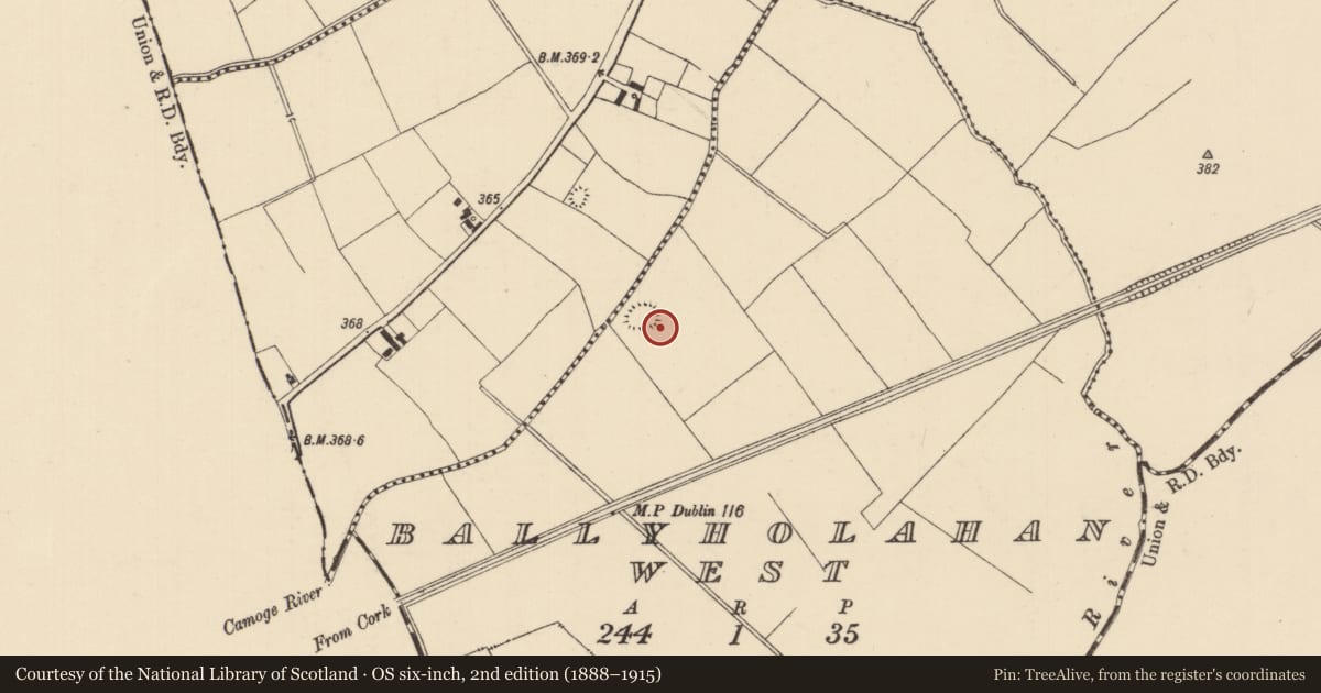 Ordnance Survey six-inch map, 2nd edition (1888–1915) covering the location of Enclosure, Ballyholahan West, County Tipperary South, with a pin at the register's coordinates