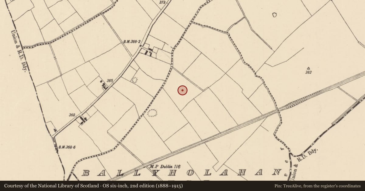 Ordnance Survey six-inch map, 2nd edition (1888–1915) covering the location of Barrow - ring-barrow, Ballyholahan West, County Tipperary South, with a pin at the register's coordinates