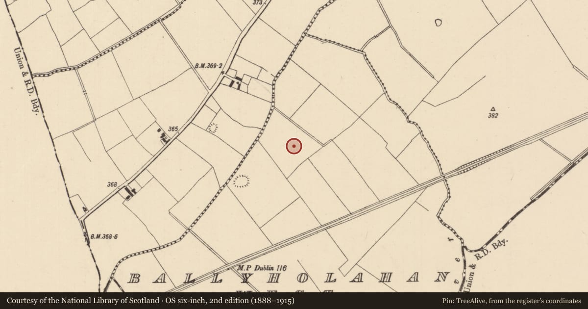 Ordnance Survey six-inch map, 2nd edition (1888–1915) covering the location of Barrow - ring-barrow, Ballyholahan West, County Tipperary South, with a pin at the register's coordinates