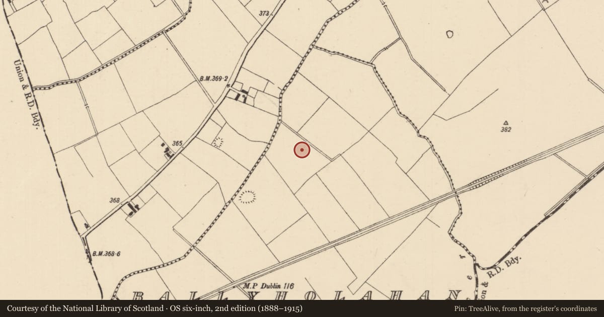 Ordnance Survey six-inch map, 2nd edition (1888–1915) covering the location of Barrow - ditch barrow, Ballyholahan West, County Tipperary South, with a pin at the register's coordinates